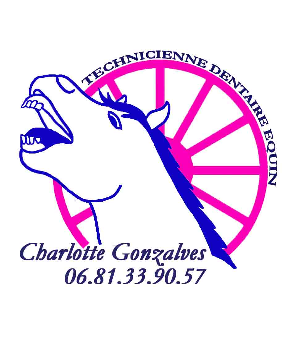 Charlotte Gonzalves - Technicienne Dentaire Equin